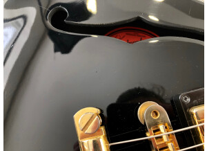 Gibson ES-359 (6486)