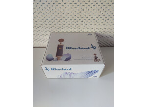 Blue Microphones Bluebird