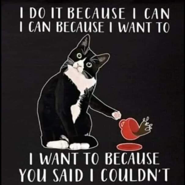 4686720.jpg 4686720.jpg