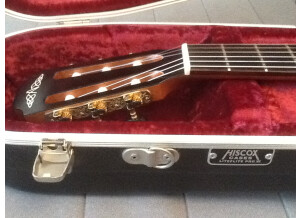 Avalon Guitars A25J (17769)