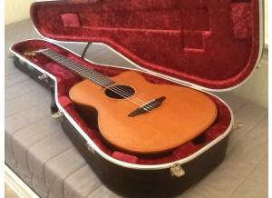 Avalon Guitars A25J (12669)