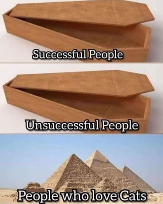 4689021.jpg 4689021.jpg