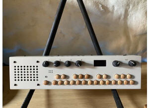 Critter and Guitari Organelle M (58429)