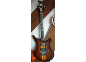 Vigier Passion (12377)