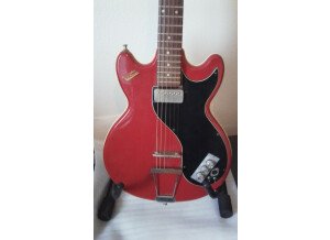 Hofner Guitars colorama de 1960 (65454)