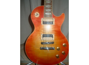 Gibson Les Paul Series - Les Paul Standard 50 (34088)