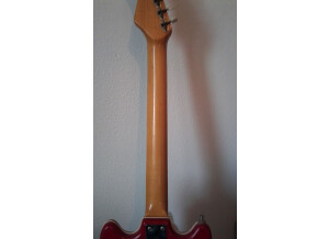 Hofner Guitars colorama de 1960 (67899)
