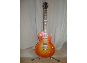 Gibson Les Paul Series - Les Paul Standard 50 (76306)