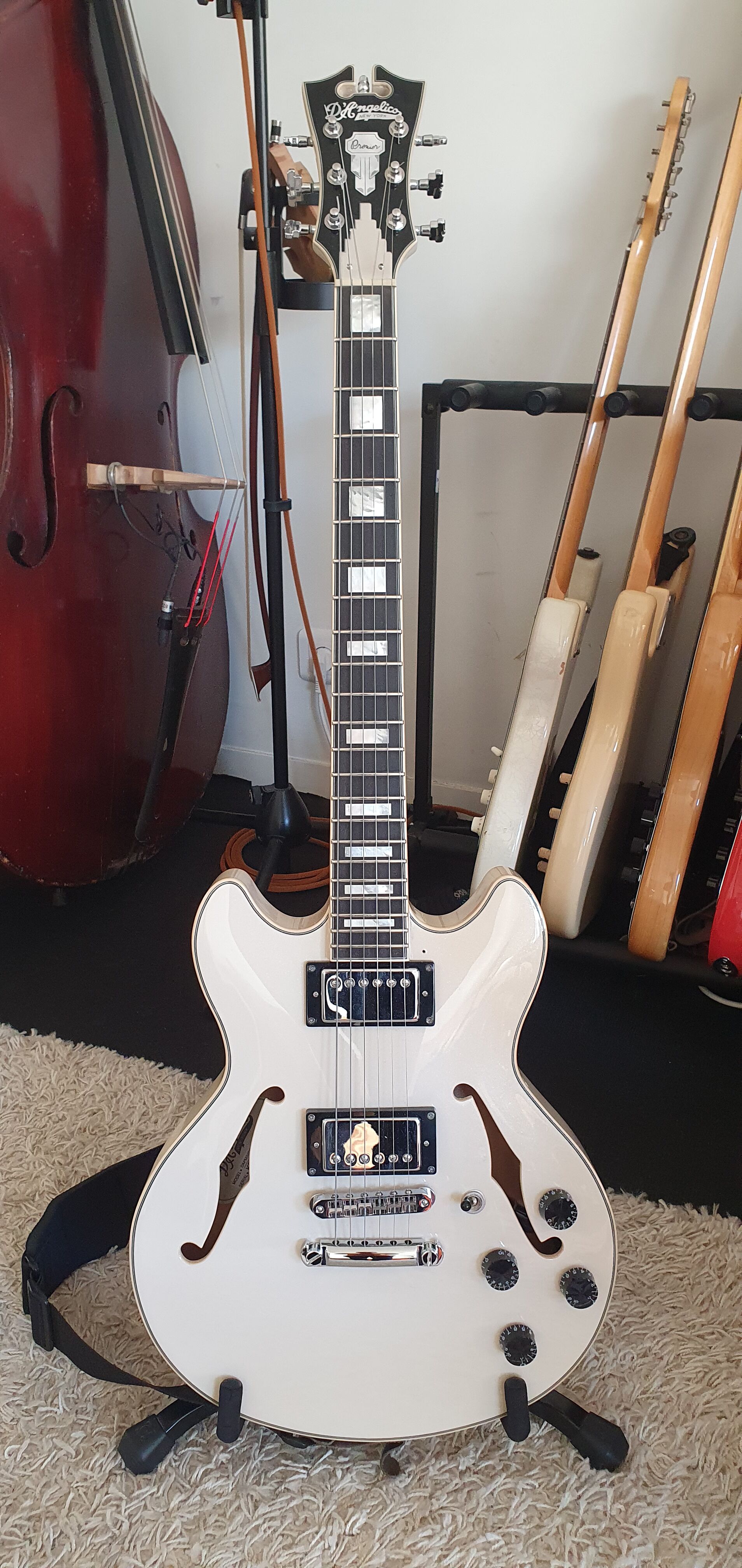 D'angelico Premier Mini DC