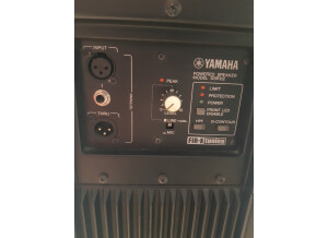 Yamaha DSR 112 (2)