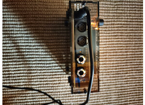 Mutable Instruments Shruthi-1 Magic Yellow (77456)