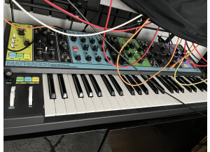 Moog Music Matriarch (88540)