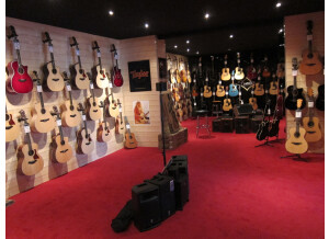 GuitarShop Toulouse 1