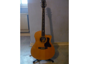 Gibson CSR-CE (2430)