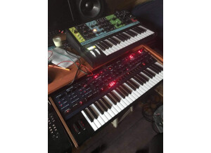 Dave Smith Instruments OB-6 (17813)