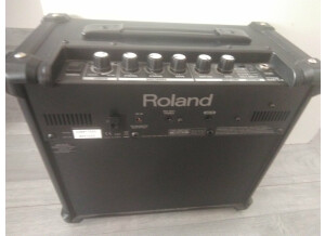 Roland Cube-10GX
