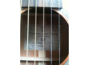 Tanglewood TW 133 ASM