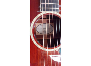 Taylor 522 12-Fret (20446)