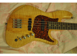 Trace Elliot T Bass (12334)