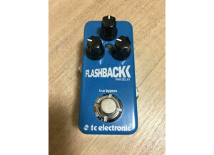 TC Electronic Flashback Mini (89528)