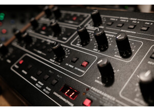 Sequential Prophet 5 Rev 4 Module (72335)
