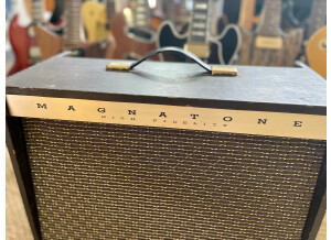 Magnatone Amps Custom 410