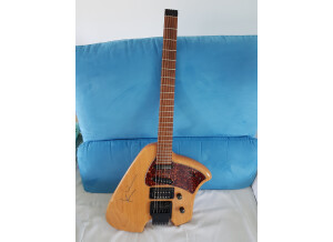 Klein Electric Guitars DT-96 (66849)