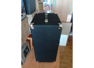 Ampeg Micro-CL Stack (11938)