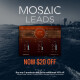 Mosaic Leads Mosaic Leads