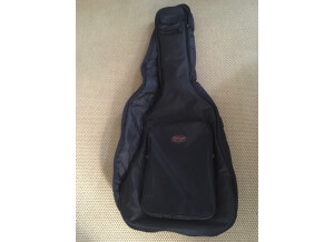 Art & Lutherie Cedar (85568)