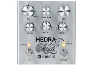 Meris Hedra (88400)