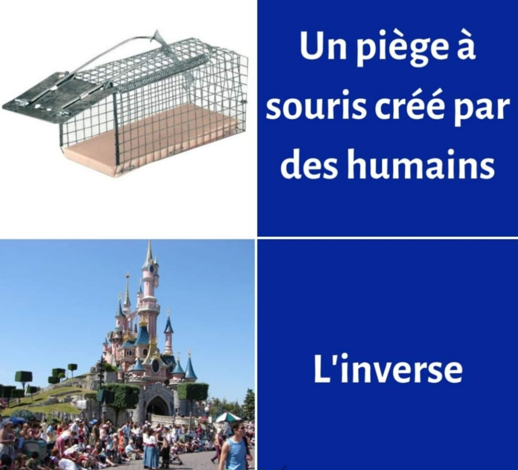 4719321.jpg 4719321.jpg