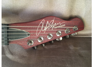Chapman Guitars ML3 BEA Baritone (80104)