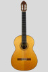 Outstanding Boyadjian Guitar
