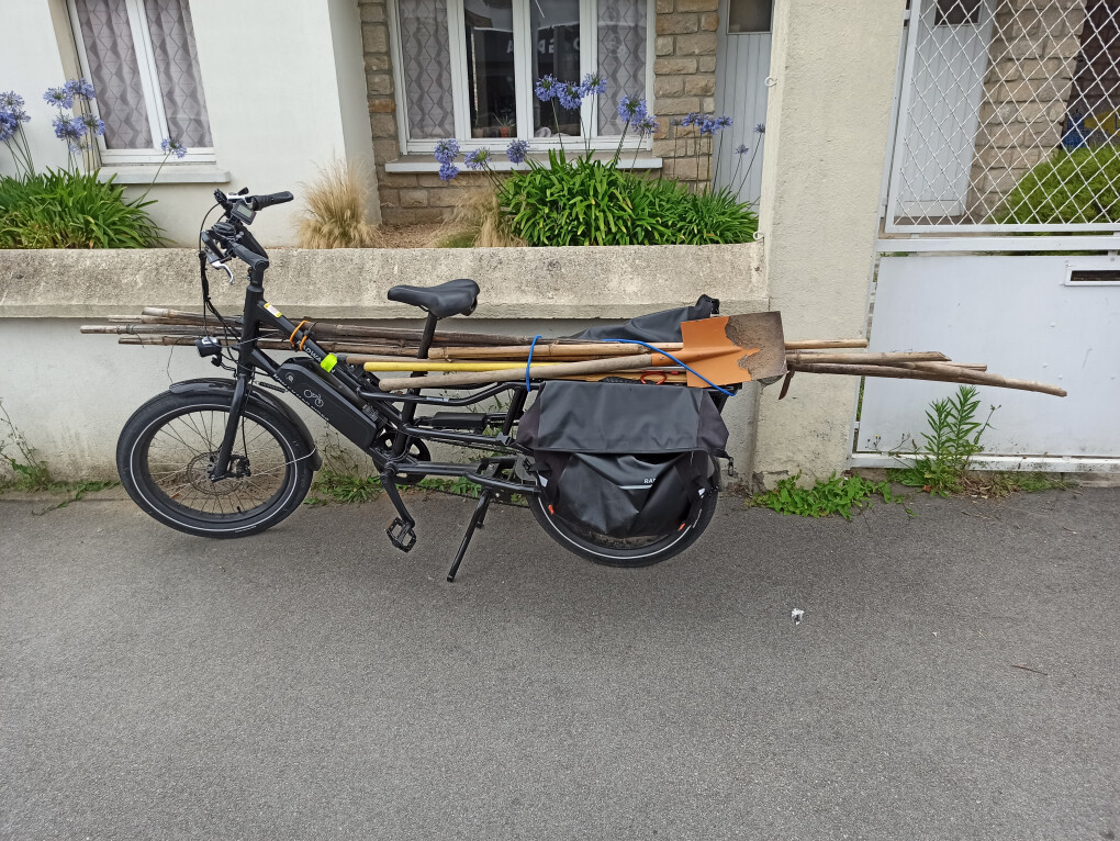 4720833.jpg 4720833.jpg