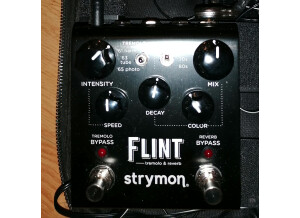 Strymon Flint (20209)
