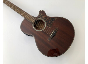 Tanglewood TW47 E (3640)