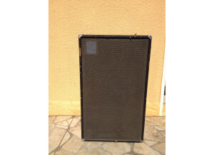 Ampeg B25B-215