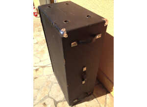 Ampeg B25B-215 (6754)