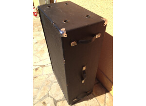 Ampeg B25B-215