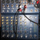 MX802 MX802