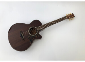 Tanglewood TW47 E (77971)