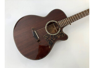 Tanglewood TW47 E (7861)