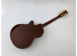 Tanglewood TW47 E (57267)