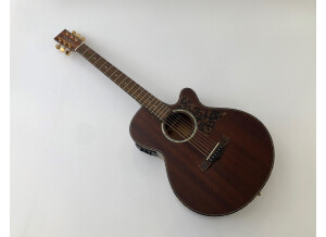 Tanglewood TW47 E (99987)