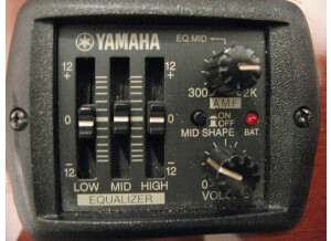 Yamaha CPX5YN