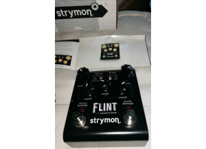 Strymon Flint (76360)