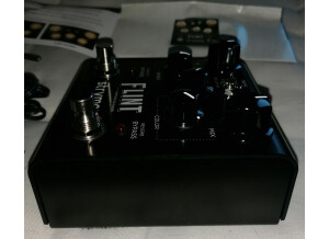 Strymon Flint (19496)