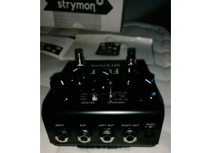 Strymon Flint (81087)