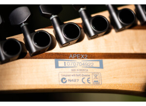 Ibanez APEX 2-5
